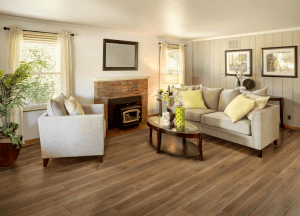 ATROGUARD – Shady Grove