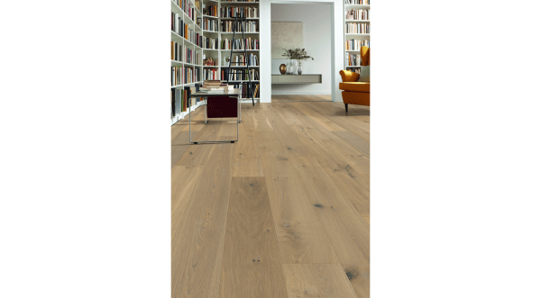 BROADLEAF COLLECTION – Willow Oak