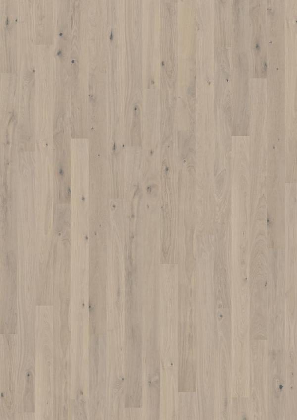CANVAS COLLECTION – Oak Mostra