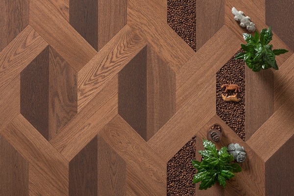 COFFEE BEAN COLLECTION – Bonsai