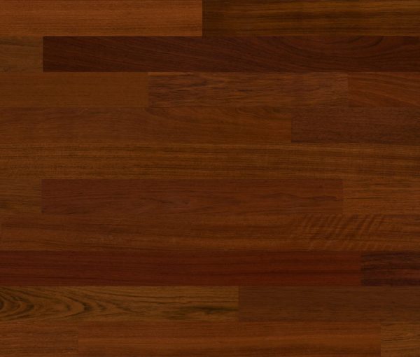 EARTH INFLUENCE – Bahia
