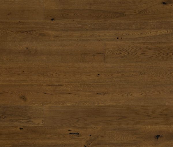 EARTH INFLUENCE – Carlton