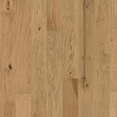 FLORA COLLECTION – Oak Aster