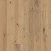 FLORA COLLECTION – Oak Gentian