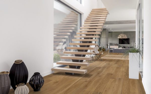 GENESE COLLECTION – Soleil