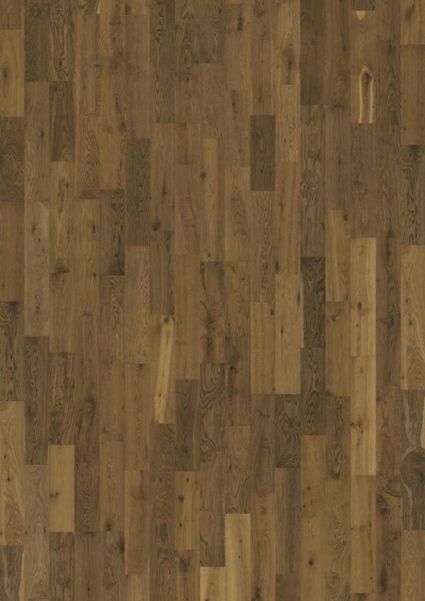 LUMEN COLLECTION – Oak Glow