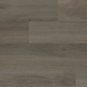 RIGID CORE HD – Antique