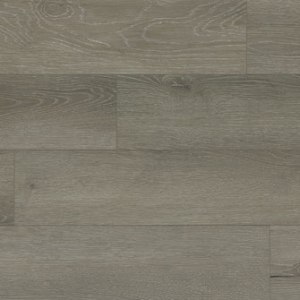 RIGID CORE HD – Brushed Gray