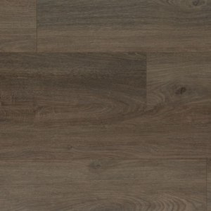RIGID CORE HD – Sandalwood