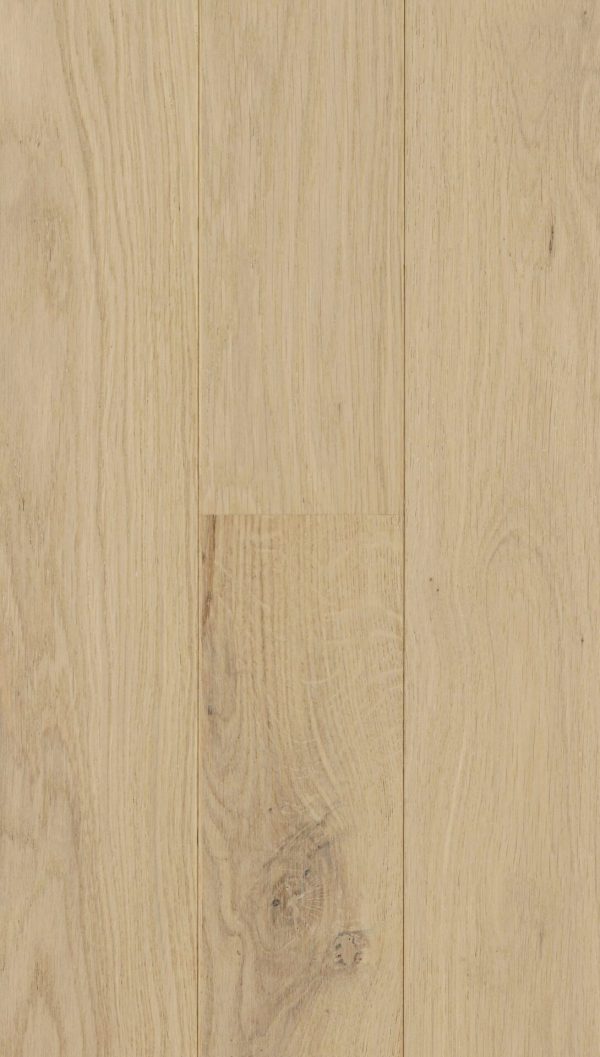 RIVA ELITE – Cotton