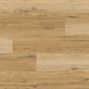 SALZBURG COLLECTION – Sandalwood