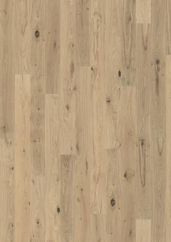 SAND COLLECTION – Oak Norderney