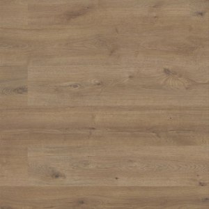 SEQUOIA COLLECTION – Eagle Scout